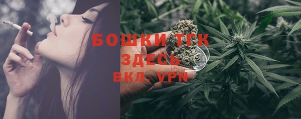 ПСИЛОЦИБИНОВЫЕ ГРИБЫ Вязьма
