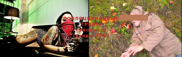 ПСИЛОЦИБИНОВЫЕ ГРИБЫ Вязьма
