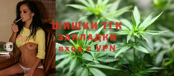 ПСИЛОЦИБИНОВЫЕ ГРИБЫ Вязьма