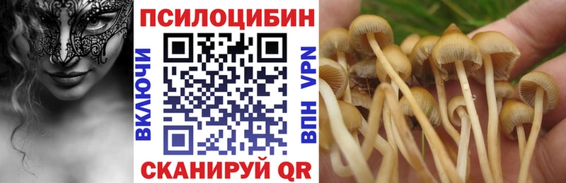 где найти наркотики  Зуевка  KRAKEN онион  Галлюциногенные грибы Psilocybine cubensis 
